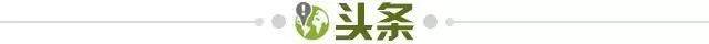亚博体育登录入口-【早报】无颜面对江东父老！意足协主席引咎辞职