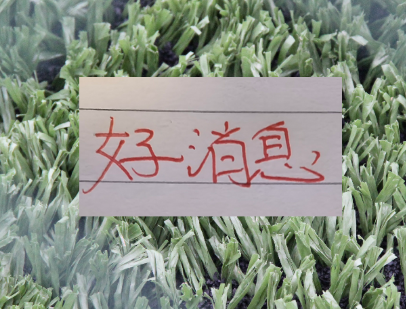 亚博体育app下载-也是好消息！申花单场独造三球王牌 很有可能第四轮复出